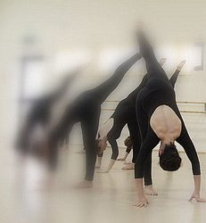 “כשהתמונה מתבהרת” – קורס העמקה בשיטת לאבאן/בארטנייף – לרקדנים ומורים למחול ותנועה – מרכז SHINUA בחוף הכרמל
